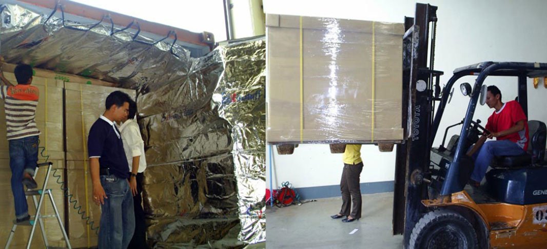 Chitosan product export quality